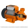 Bomba eléctrica periférica para agua 1/2 HP, Truper Truper Expert