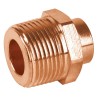 Conector macho reducido 3/4x1/2'